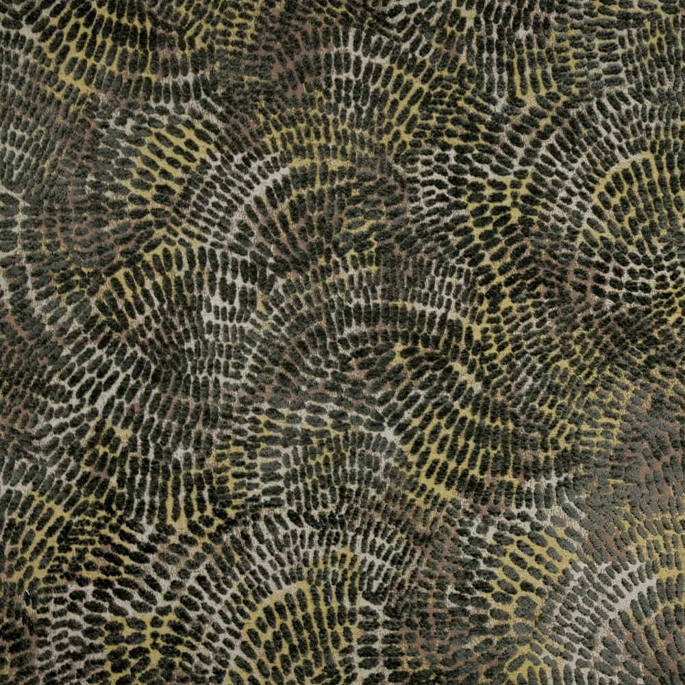 Moss