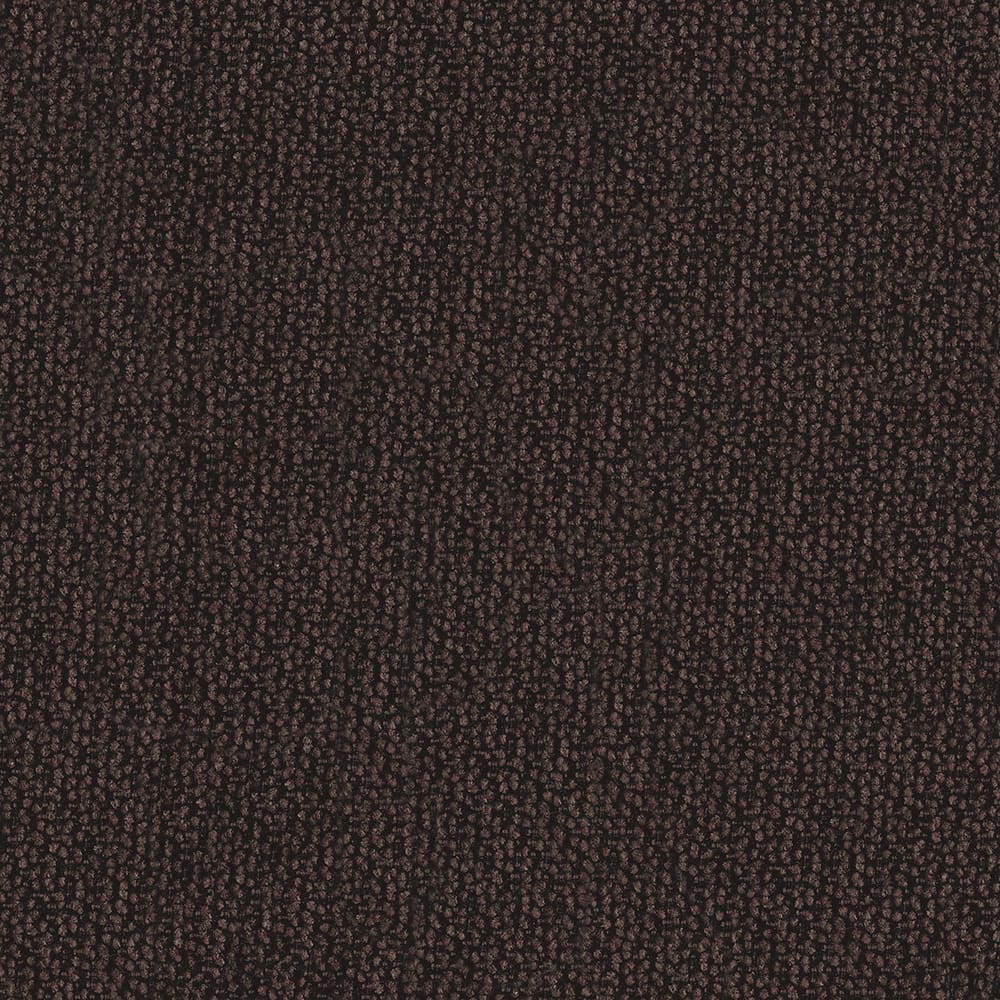 Acorn