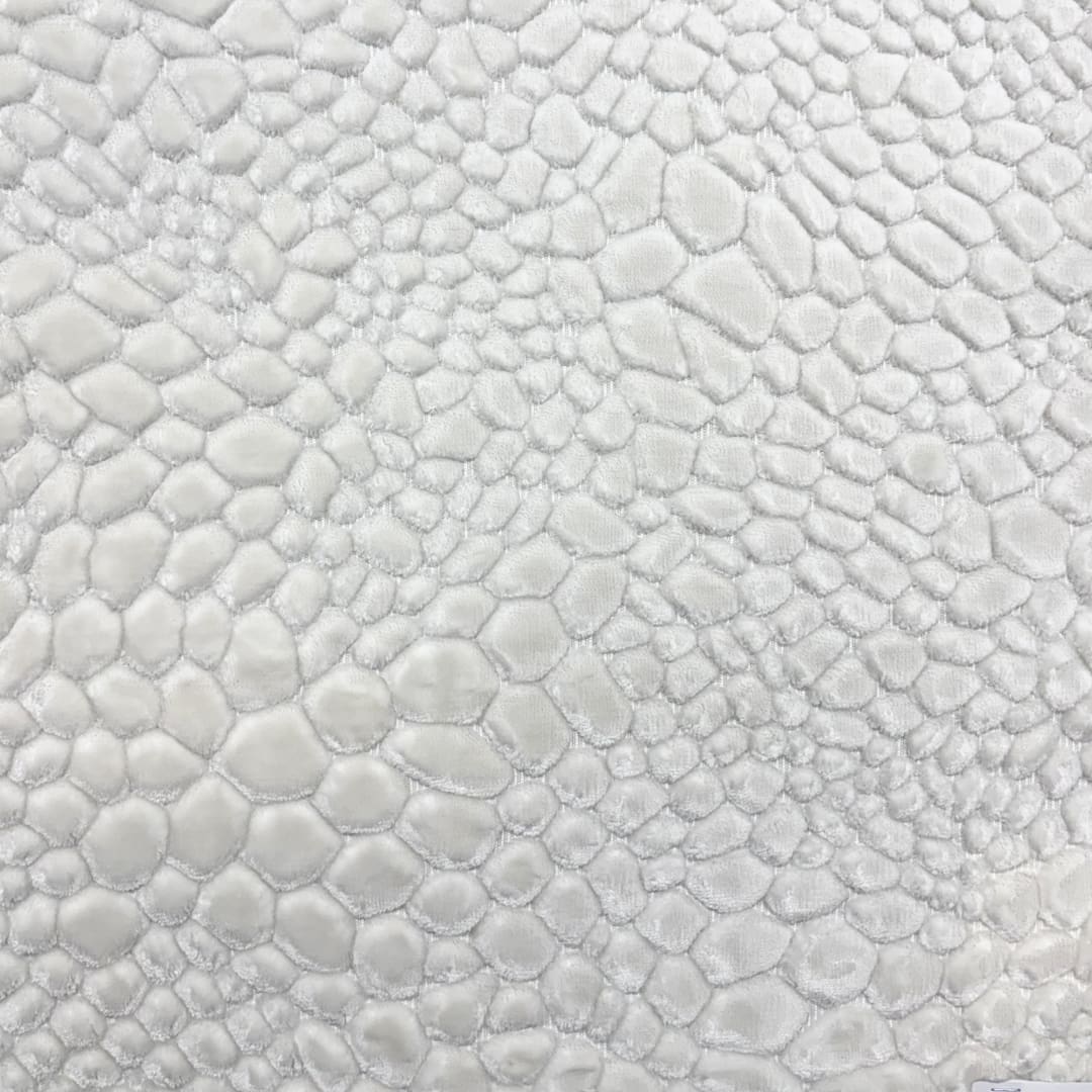 Bone